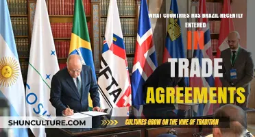 Brazil's New Trade Partners: Recent Agreements and Global Expansion