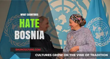 Bosnia's Complex Relations: Which Nations Hold Negative Views?