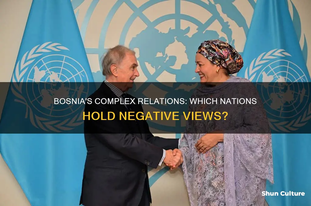 what countries hate bosnia