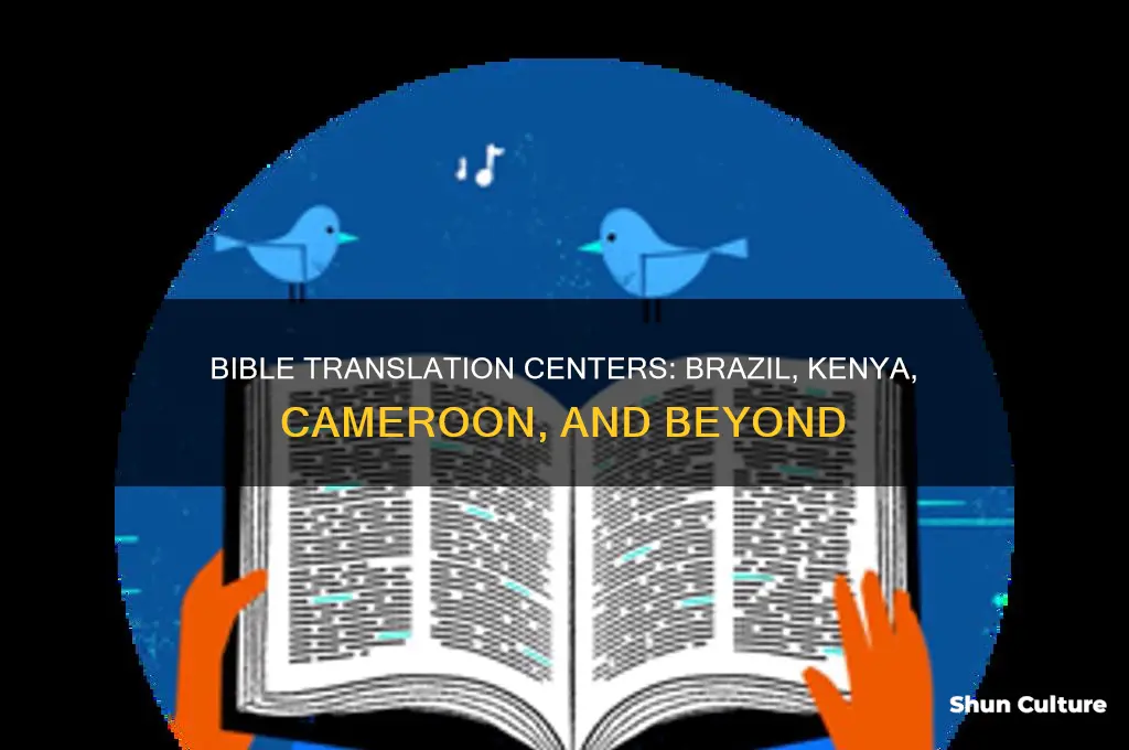 what countries have bible translation centers brazil kenya cameroon