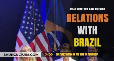 Brazil's Global Allies: Exploring Nations with Strong Diplomatic Ties