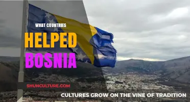 Global Allies: Nations That Supported Bosnia During Its Struggle