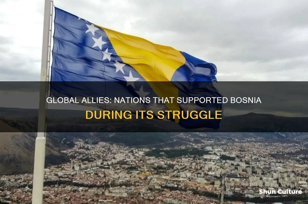 what countries helped bosnia