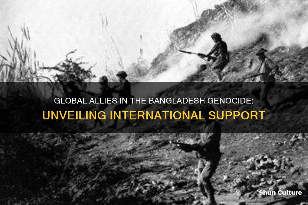 what countries helped the bangladesh genocide