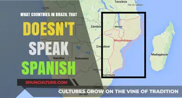 Brazil's Unique Language: Countries Within That Don't Speak Spanish