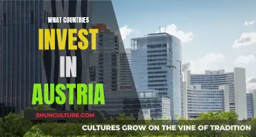 Who Invests in Austria and Why?