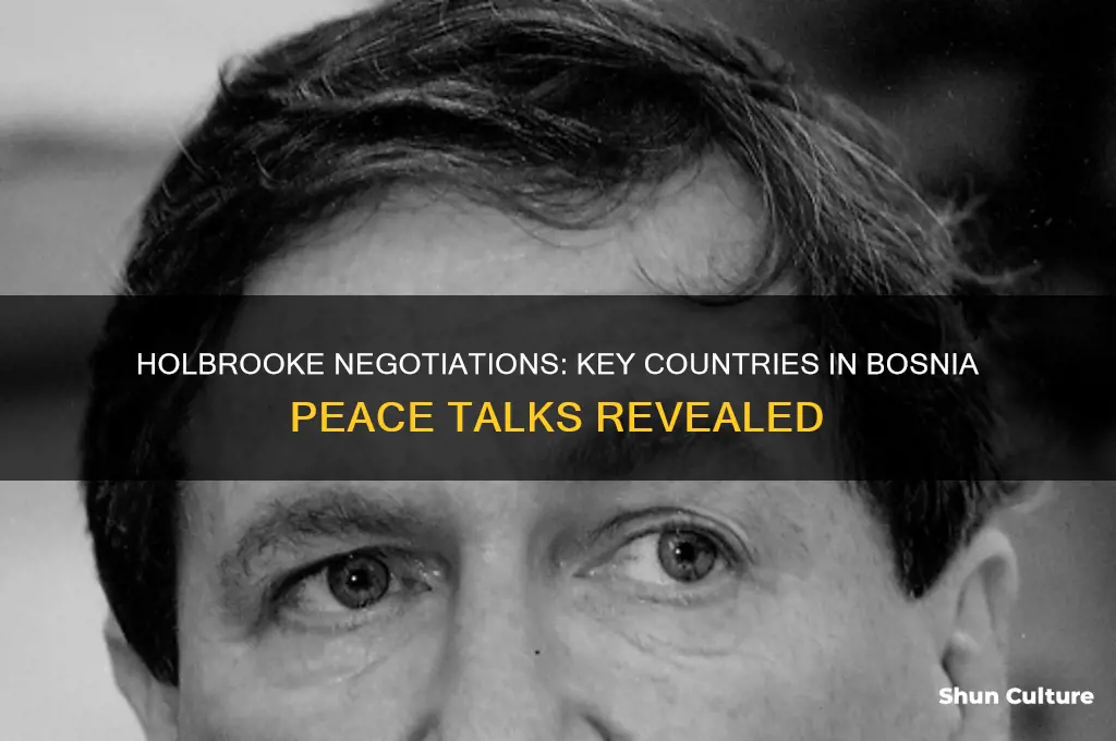 what countries involved in holbrooke negociations bosnia