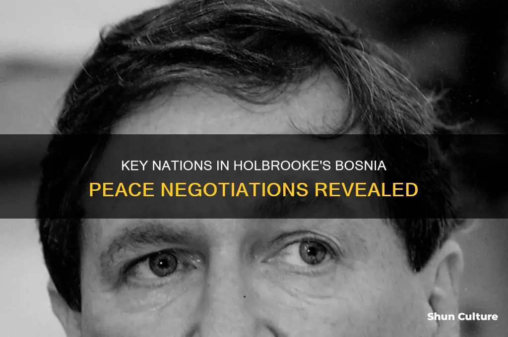 what countries involved in holbrooke negotiations bosnia