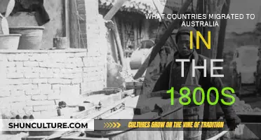 Immigration History: Australia's 1800s Migration Story
