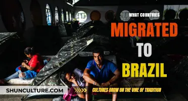 Exploring Brazil's Rich Tapestry: Countries That Shaped Its Migration History