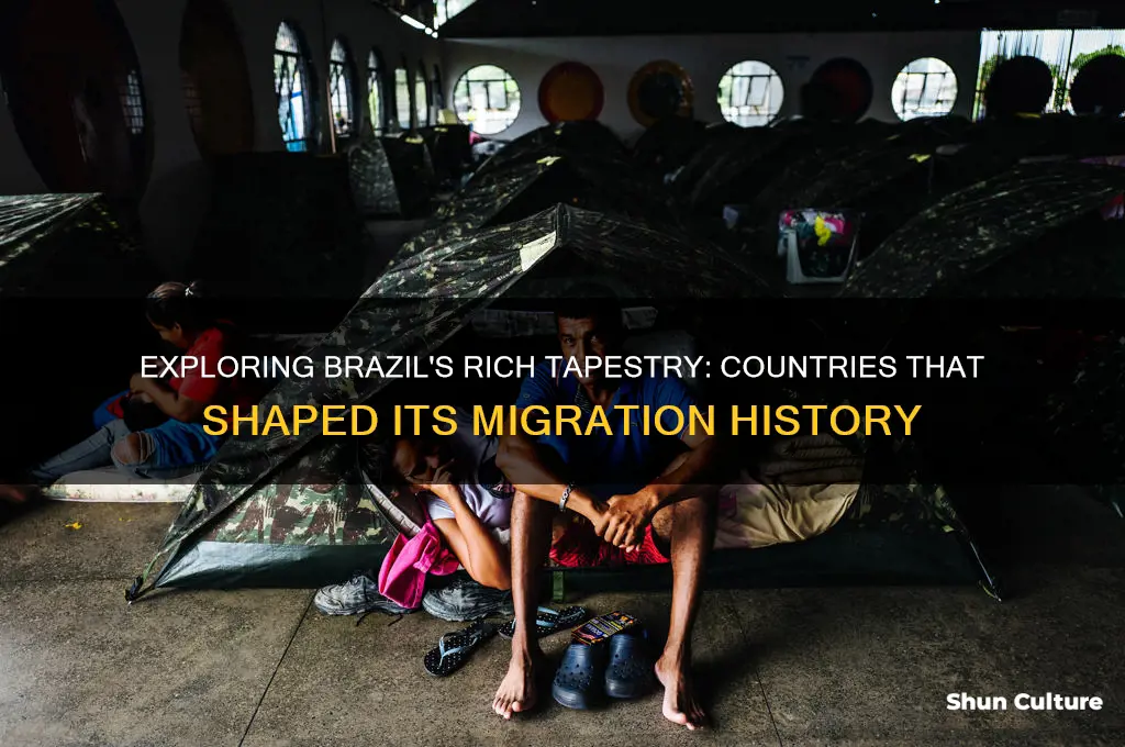 what countries migrated to brazil