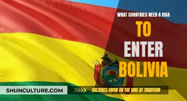 Visa Requirements: Who Needs a Visa to Enter Bolivia?