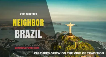 Exploring Brazil's Borders: Neighboring Countries and Their Unique Connections