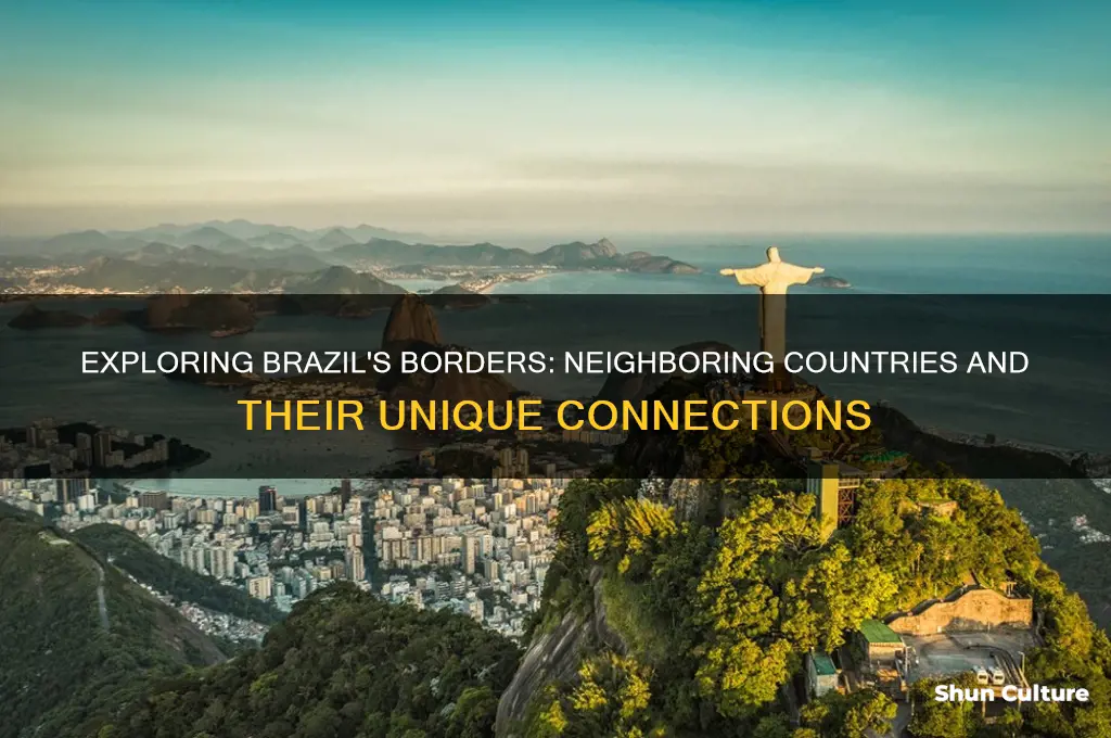 what countries neighbor brazil