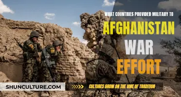 **Global Military Coalition: Uniting Forces in Afghanistan** 