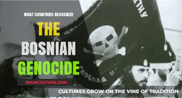 Recognizing the Bosnian Genocide: Which Nations Acknowledge the Atrocity?