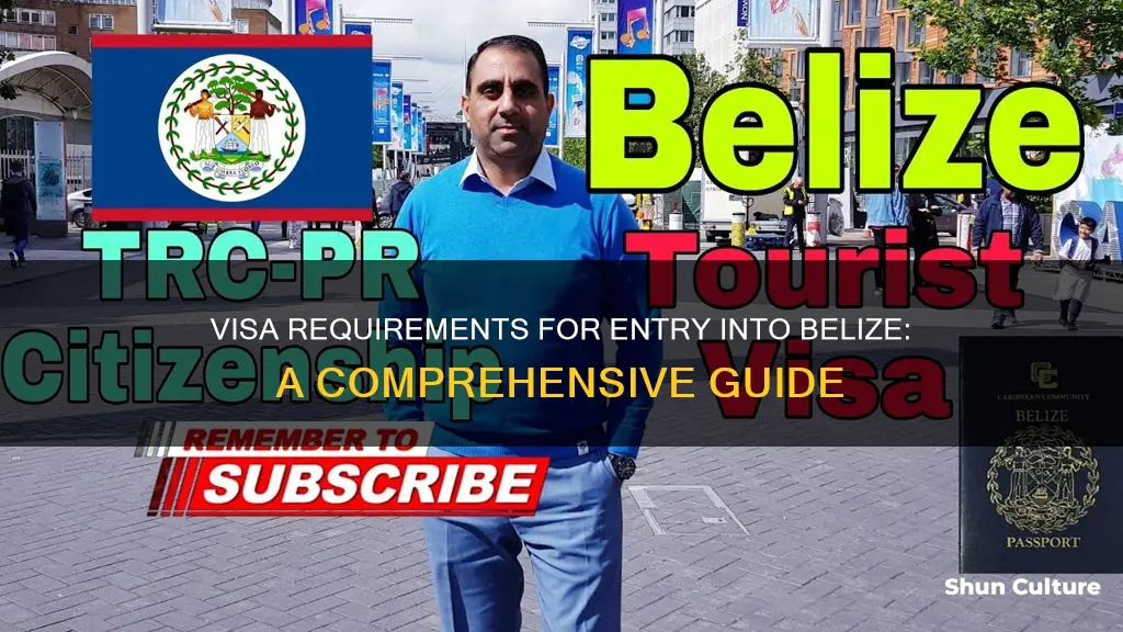 what countries require a visa to enter belize