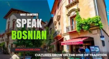 Exploring Bosnian Language: Countries Where Bosnian is Spoken Today