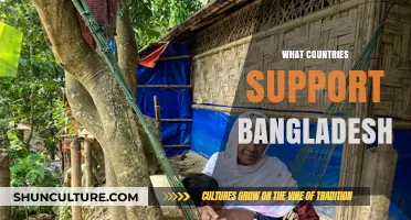 Global Allies: Which Nations Stand Strongly Behind Bangladesh's Progress?