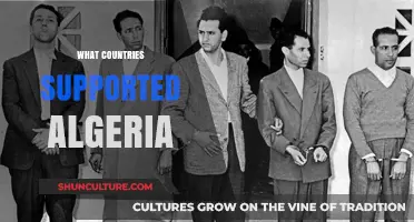 Global Allies: Which Nations Supported Algeria's Independence Struggle?