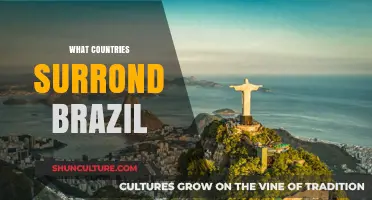 Exploring Brazil's Neighbors: Countries Surrounding South America's Giant