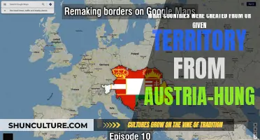 New Nations Born from Austria-Hungary's Territory