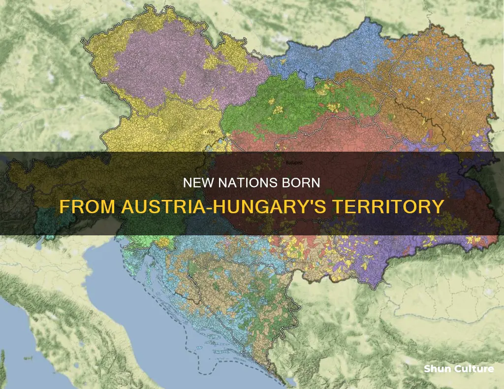 what countries were created from or given territory from austria-hungary