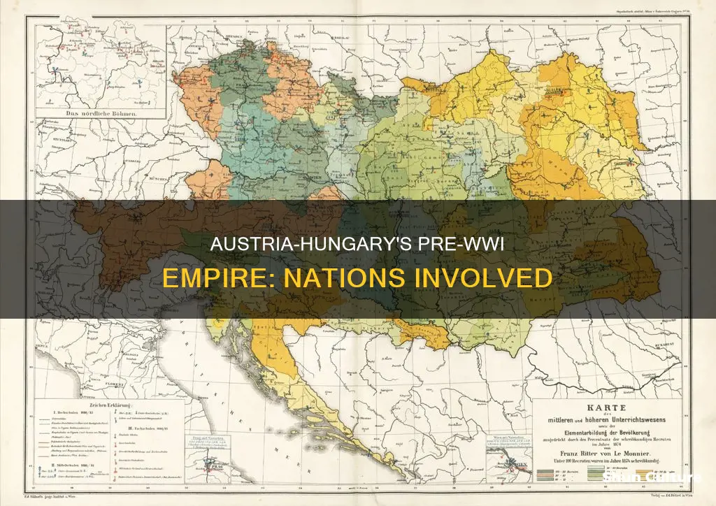 what countries were in the austria-hungary empire in 1914