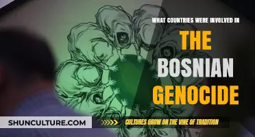 The Bosnian Genocide: Nations Involved and Their Roles Explained