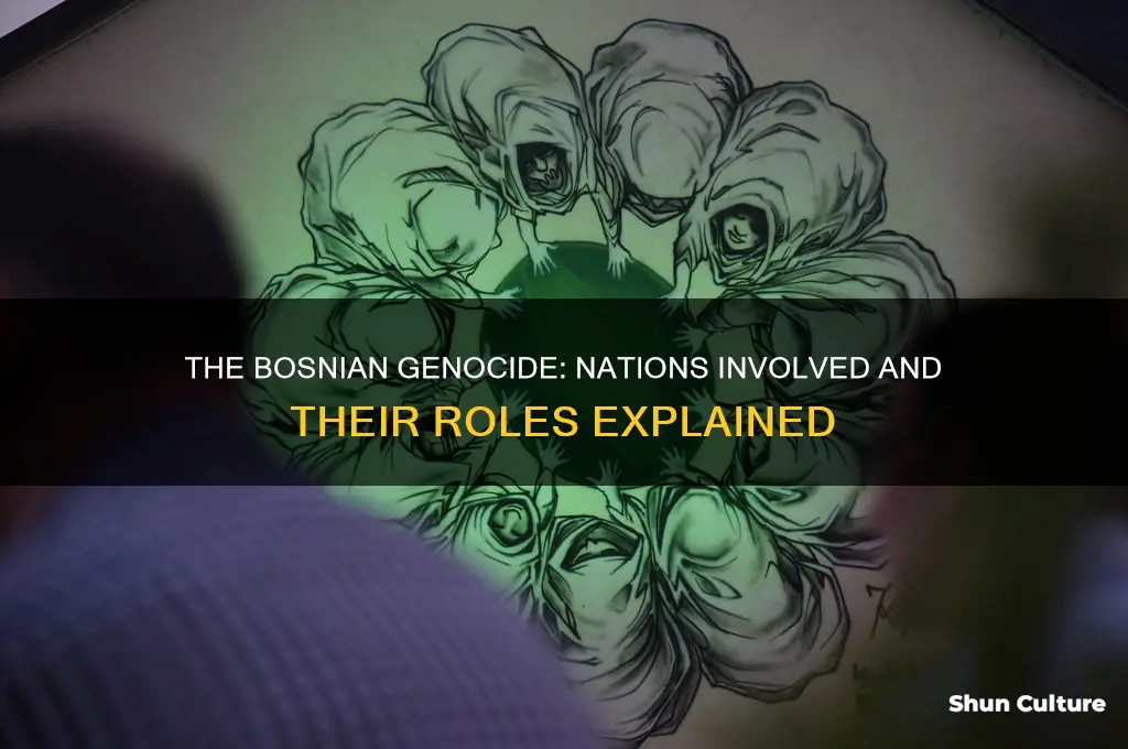 what countries were involved in the bosnian genocide