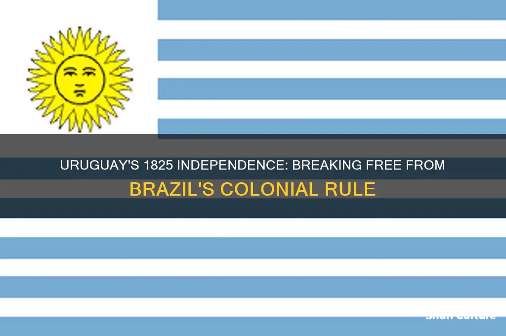 what country achieved independence from brazil in 1825