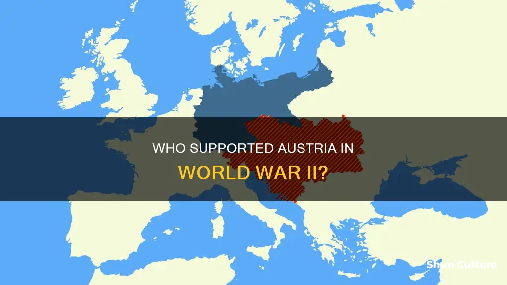 what country allied with austria during w