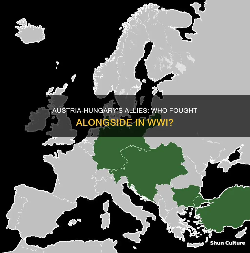 what country allied with austria hungary during world war i