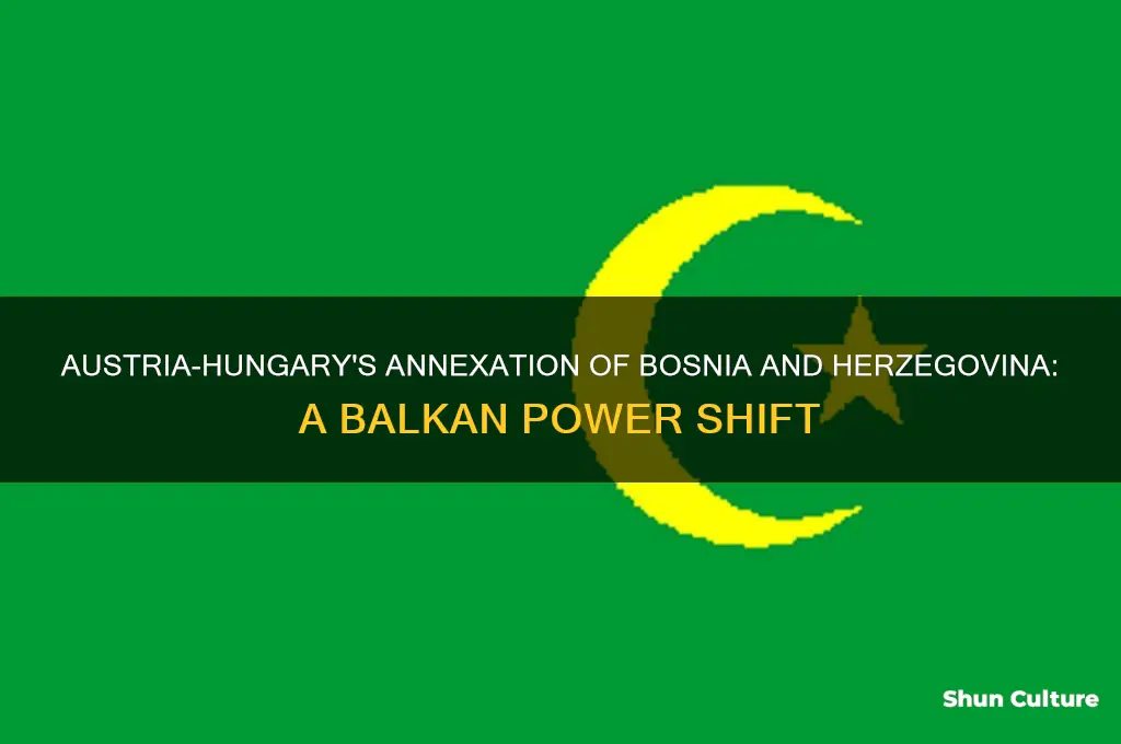what country annexes the balkan provinces of bosnia and herzegovina