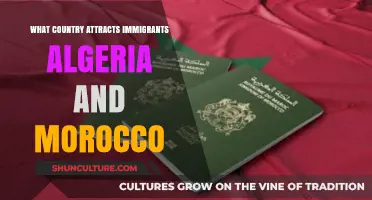 Algeria vs. Morocco: Which North African Country Attracts More Immigrants?