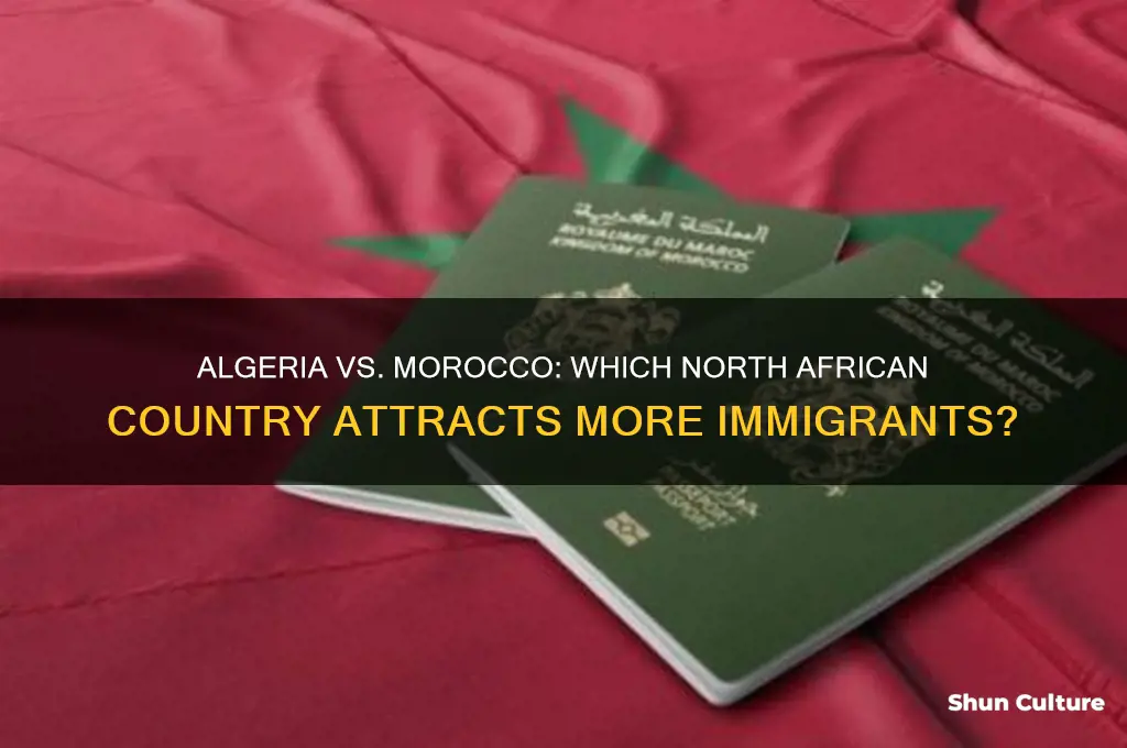 what country attracts immigrants algeria and morocco