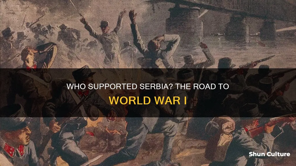 what country backed up serbia in the showdown with austria-hungary