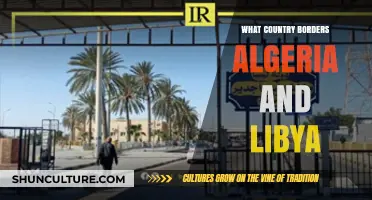 Exploring Algeria and Libya's Shared Border: Neighboring Country Revealed