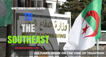 Exploring Algeria's Southeastern Border: Which Country Lies Adjacent?