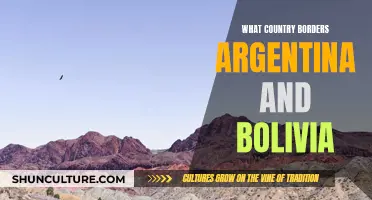 Exploring Argentina and Bolivia's Shared Border: A Geopolitical Overview