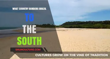 Exploring Brazil's Southern Neighbor: Which Country Borders It to the South?