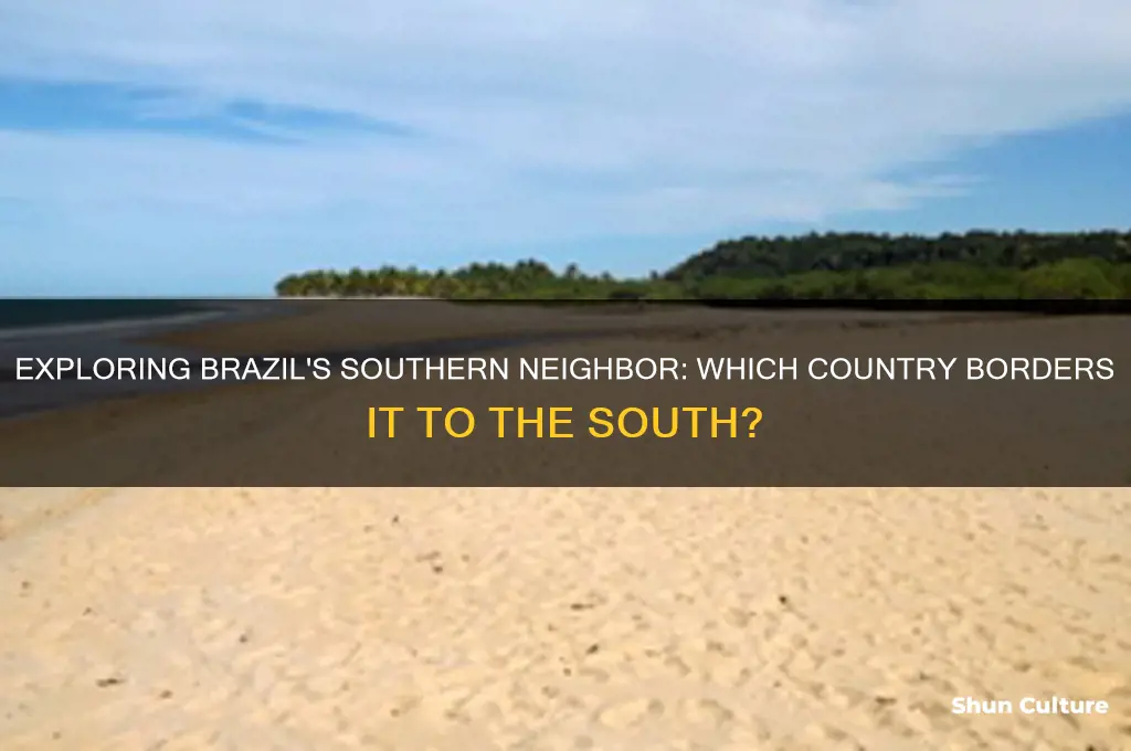 what country borders brazil to the south