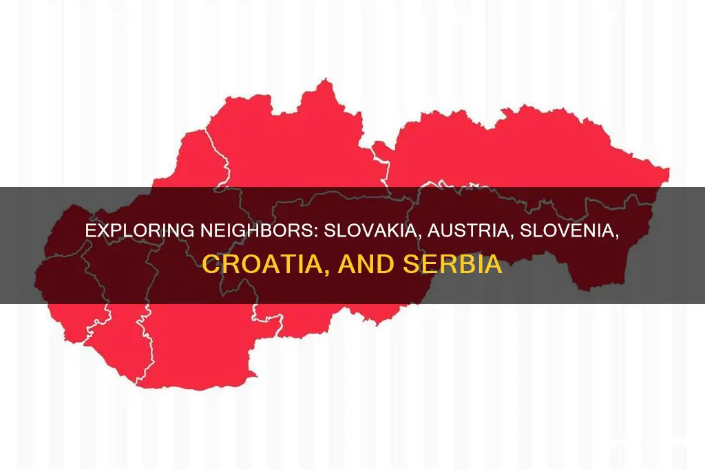 what country borders slovakia austria slovenia croatia serbia