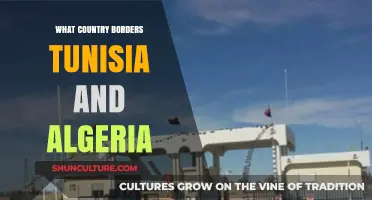 Exploring Tunisia and Algeria's Shared Border: Neighboring Country Revealed