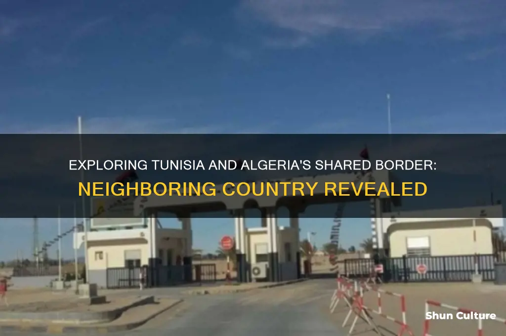 what country borders tunisia and algeria