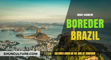 Exploring Brazil's Borders: Neighboring Countries and Shared Boundaries