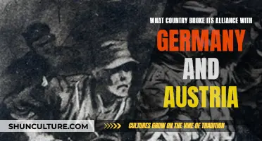 Who Betrayed Germany and Austria?