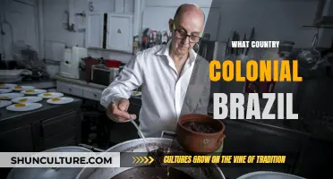 Colonial Brazil: Unveiling the European Power Behind Its Colonization