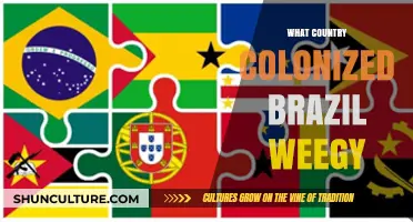 Which European Power Colonized Brazil: A Historical Overview