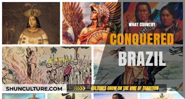 The Conquest of Brazil: Unveiling the Nation Behind Its Colonization